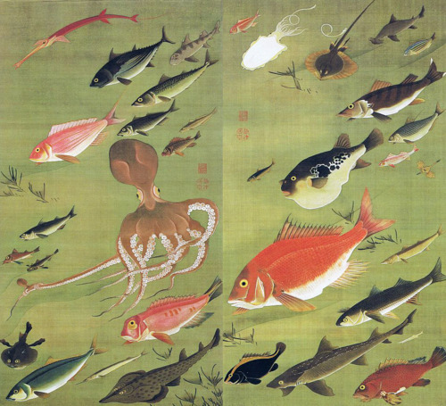 art-mysecondname - Itō Jakuchū 