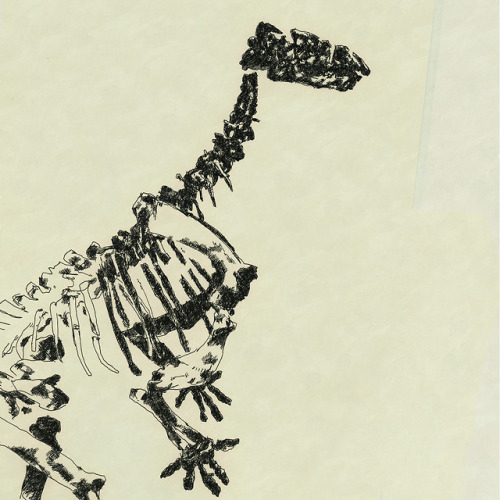 bertrandtokpokki - vieil iguanodon  (Bertrand Panier, 2015 ?)