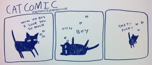 radioactivemongoose - cat comic