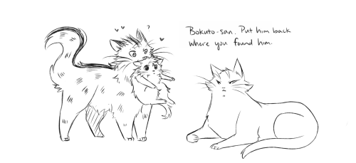 tinyriverstory - Some things are too perfect and Bokuto adopting...
