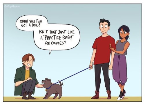 pr1nceshawn:Why Dogs Aren’t “Practice Babies”