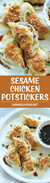 guardians-of-the-food - Sesame Chicken Potstickers