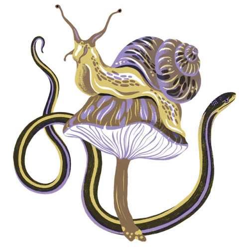 kaleymckean - Snake and snail