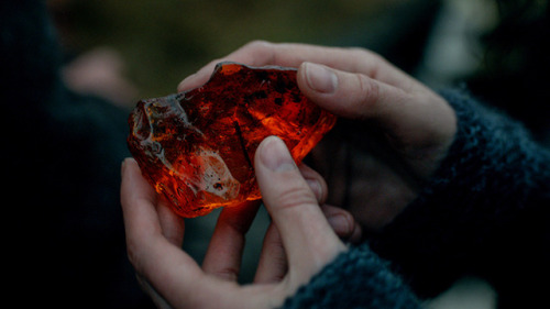 requiem-on-water:Dragonfly In Amber