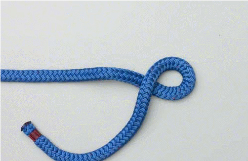 mizar113 - Figure Eight Knot