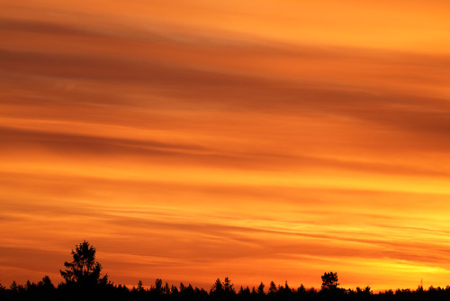 swedishlandscapes - Painted skies.