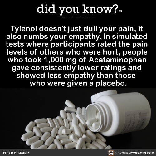 tylenol-doesnt-just-dull-your-pain-it-also