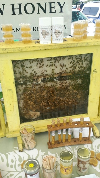 zigemmazag - Save the bees ( - 