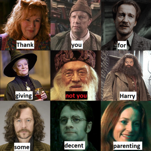 accio-shitpost - [Image - a grid of photos of Harry Potter’s...