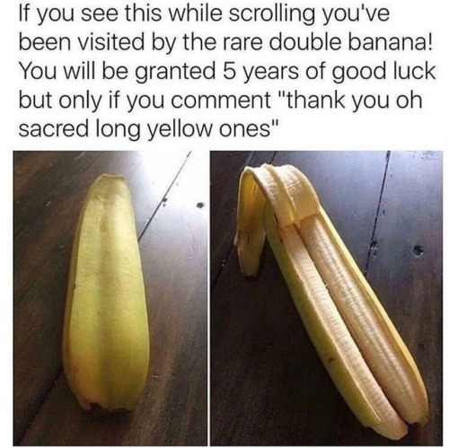 meme-theft - Thank you oh sacred long yellow ones