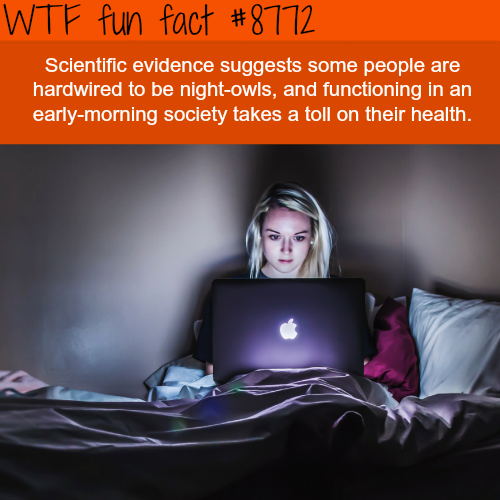 wtf-fun-factss - Night-owls - WTF fun facts