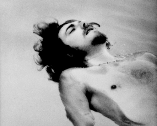 babeimgonnaleaveu - Robert Plant photographed by Carl Dunn at...