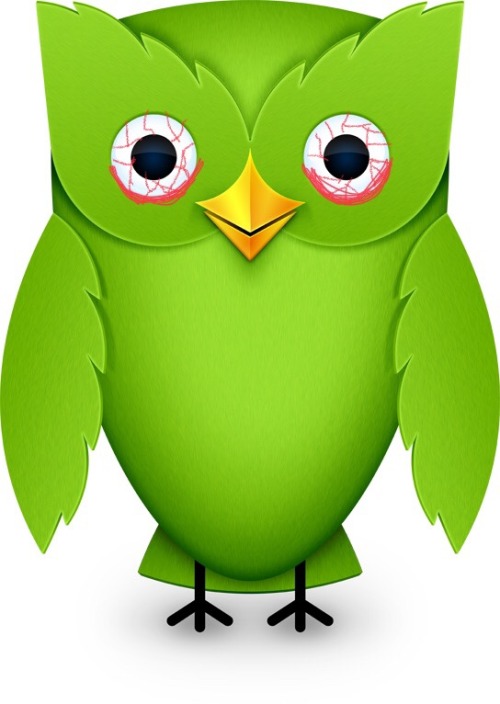 netflixaddict - sativataurus - If I mysteriously die or disappear just know it was the duolingo owl He..