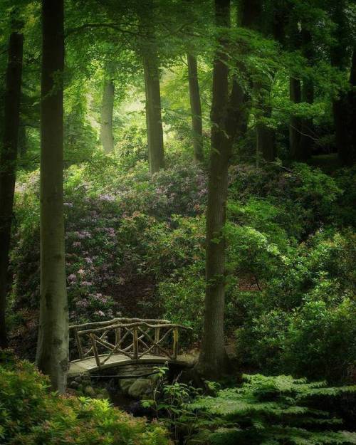 maureen2musings:Found a magical place...