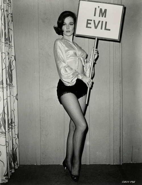 gmgallery - Shelley Fabares (MGM,...