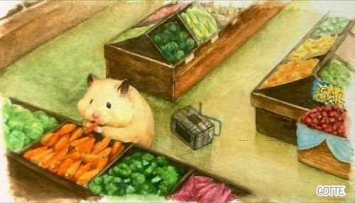 im-p-short - nauan-ix - ♡ Hamster’s life by gottehamham part 1...