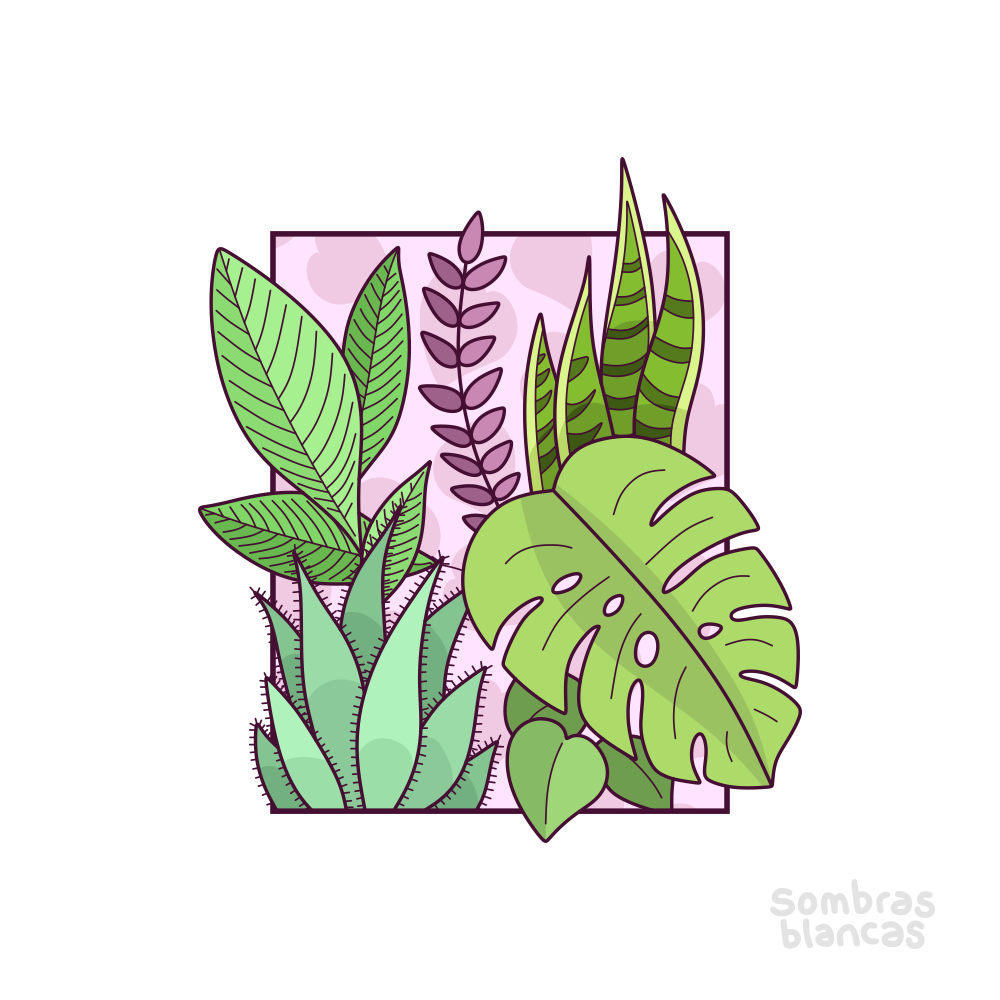 Framed Plants by Sombras Blancas Art & Design Instagram · Tumblr — Immediately post your art to a topic and get feedback. Join our new community, EatSleepDraw Studio, today!