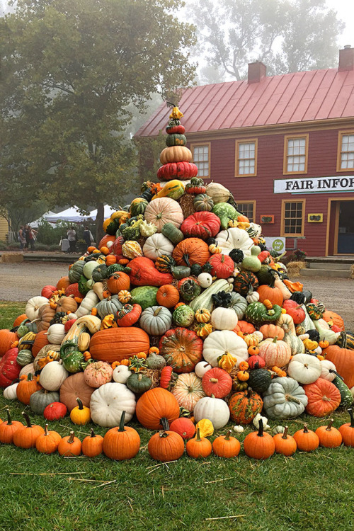 ilivefortheseasons:Oh my gourd!