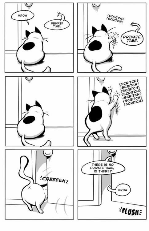 catsbeaversandducks - Comic by Lucas Turnbloom