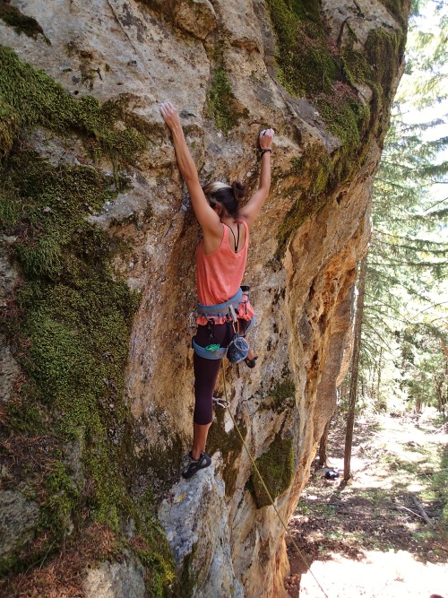 prrdylady - Secret crag climbing in Shady cove Oregon last summer....
