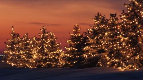 english-fitz:the-chilly-seasons:Christmas lights appreciation...