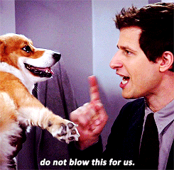 the-absolute-best-gifs - That dog’s face