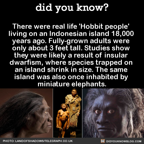 there-were-real-life-hobbit-people-living-on-an