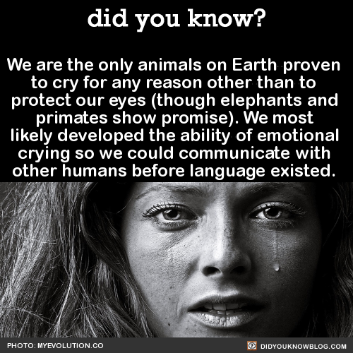 did-you-kno-we-are-the-only-animals-on-earth