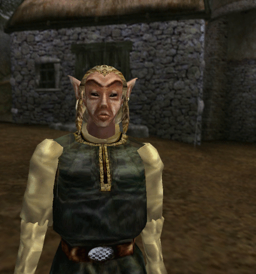Morrowind today laughs at your modern RPG - Page 4 Tumblr_o2pz9hpSVp1qdnwiro1_500