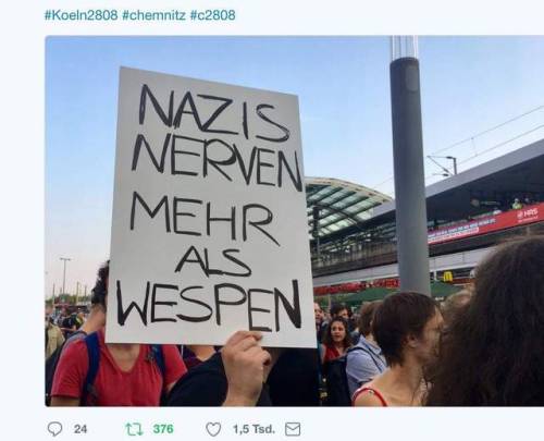 thatswhywelovegermany - Nazis are more annoying than wasps.