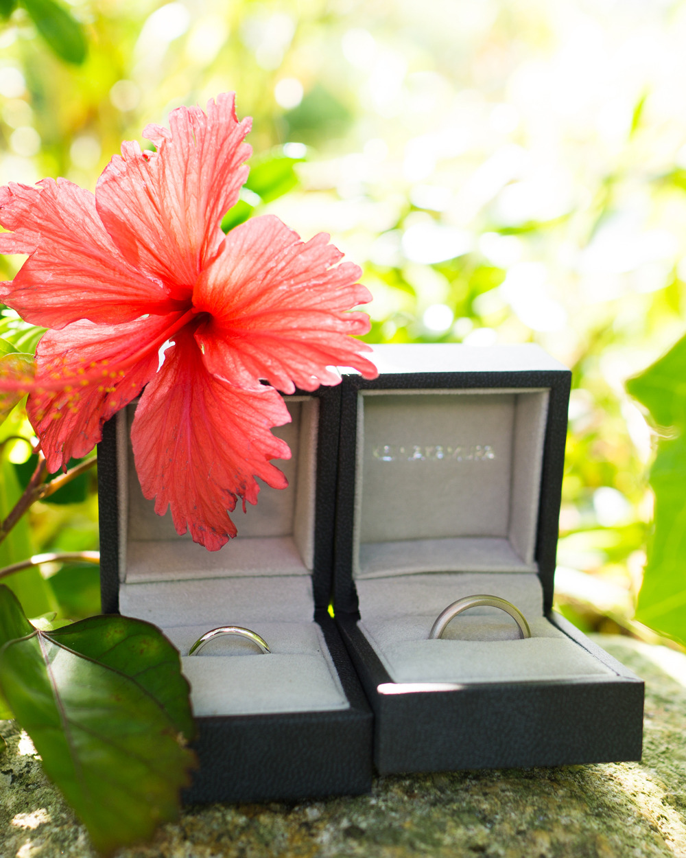屋久島のハイビスカスと結婚指輪　プラチナ、ホワイトゴールド　屋久島でつくる結婚指輪