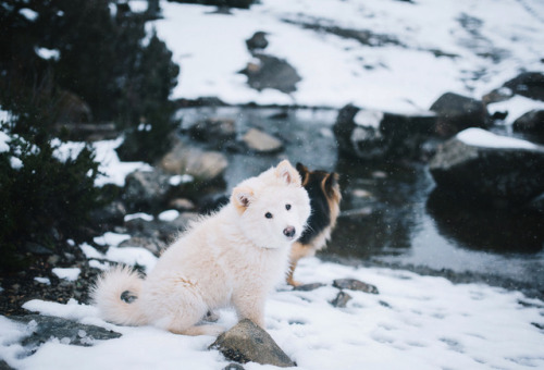 little-fox-adventures - First time in the snow