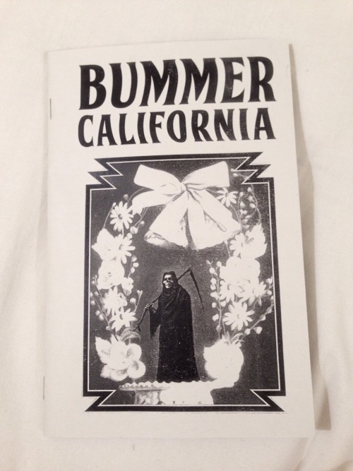 Image result for bummer california