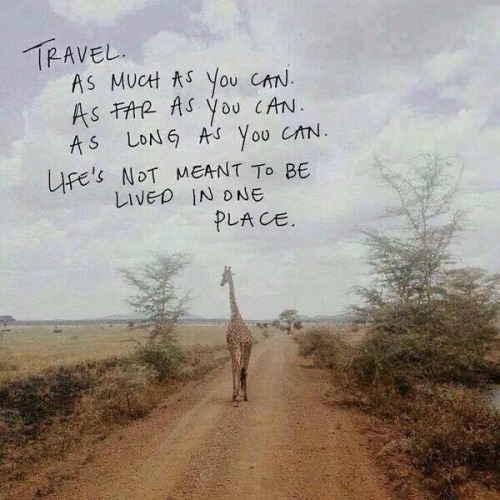 travel quotes on Tumblr