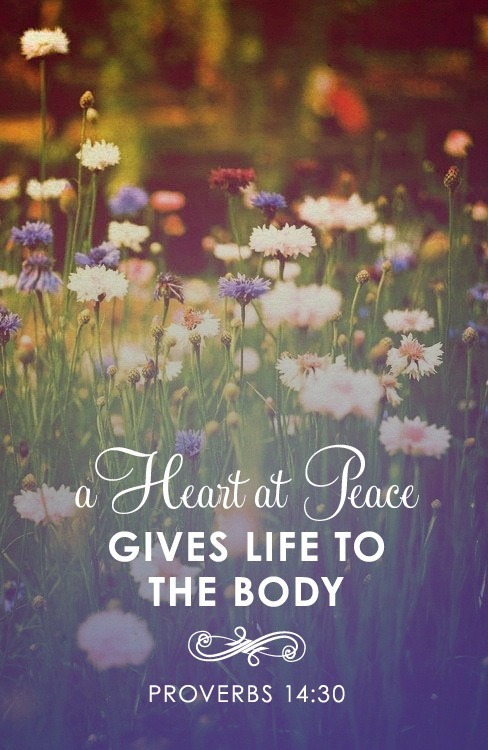 catholic-christian - A heart at peace gives life to the body....