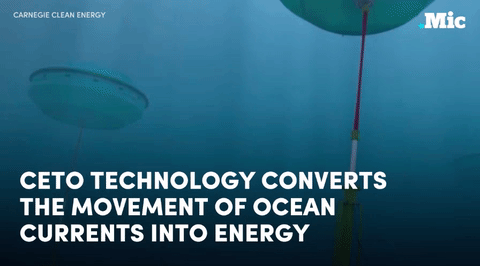 the-future-now - This company is harnessing the power of the ocean...