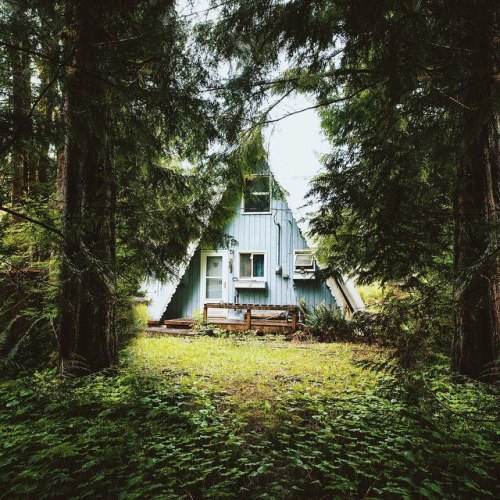 an-adventurers - Tucked in the woods of...