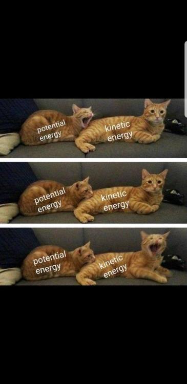 newtonpermetersquare - Chemical energy be like
