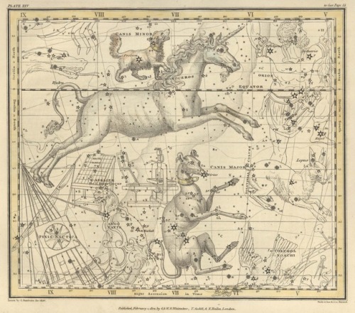 english-idylls - Illustrations from Celestial Maps by Alexander...