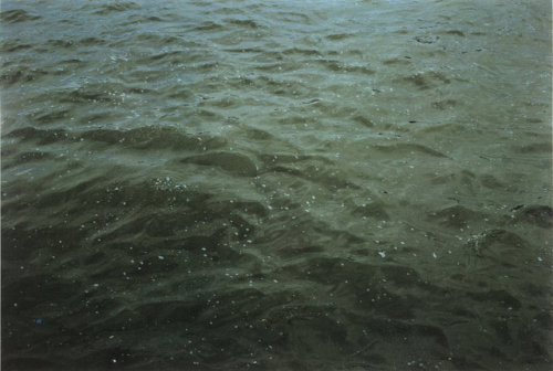 arterialtrees - Roni Horn, image from “Some Thames” series, 2000