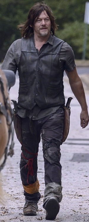 normanreedustea - Norman Reedus as Daryl Dixon | The Walking...