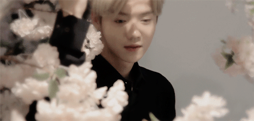 Image result for luhan l'occitane gif