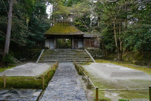 chitaka45 - 京都 法然院 椿寺kyoto hounenin temple camellia