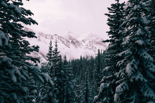 avenuesofinspiration - Let’s see where this goes | @Mammothstock |...
