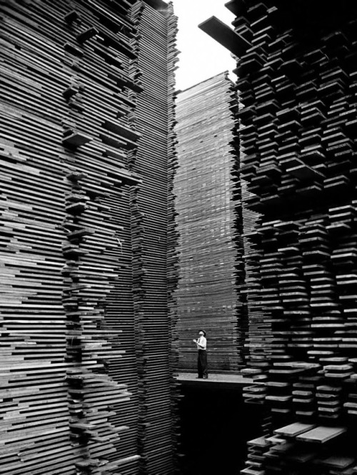 historicaltimes - A man standing in the lumberyard of Seattle...
