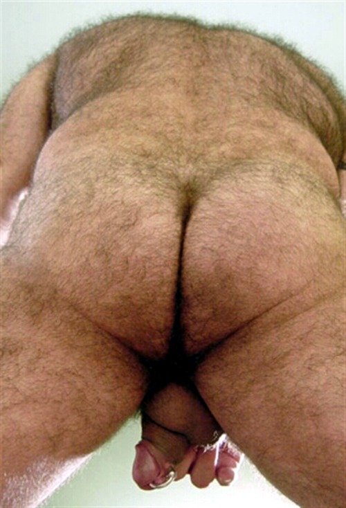 joeledb - 10 of the most beautiful hairy ass from the internet
