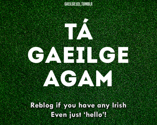 gaeilge101:Tá Gaeilge agam [/Taw GAYLE-gah AW-gum/] = I have...