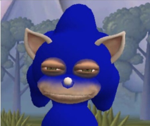 Awkward Sonic Photos