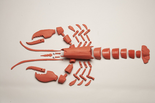 exercicedestyle - Shannon Goff, Lobster, 2010