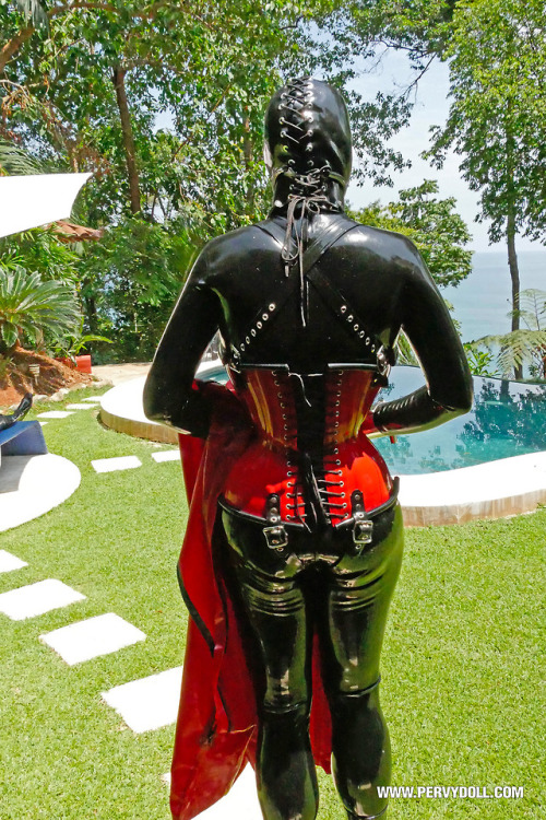 rubberdollemmalee - It’s the dry period in Costa Rica, with...
